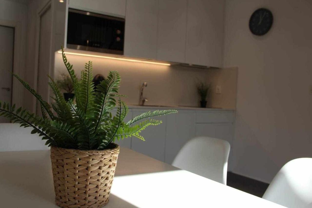 Apartamentos Rurales Patxillaborda Eki Lezo Zewnętrze zdjęcie
